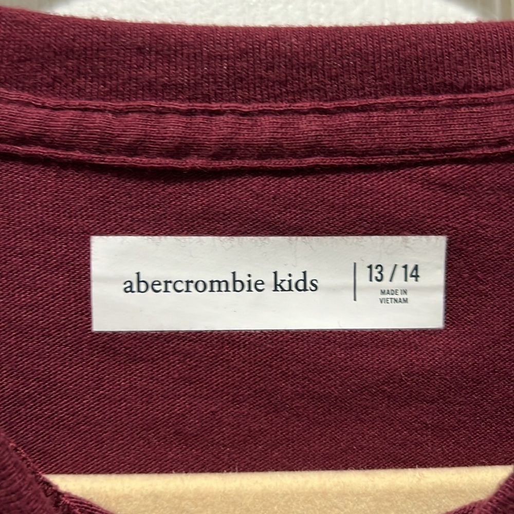 Abercrombie & Fitch Colorado Aspen Long Sleeve T-shirt - Picture 3 of 4